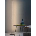 Lampadaire intérieur moderne à base de métal 24W LED pour la décoration de la maison